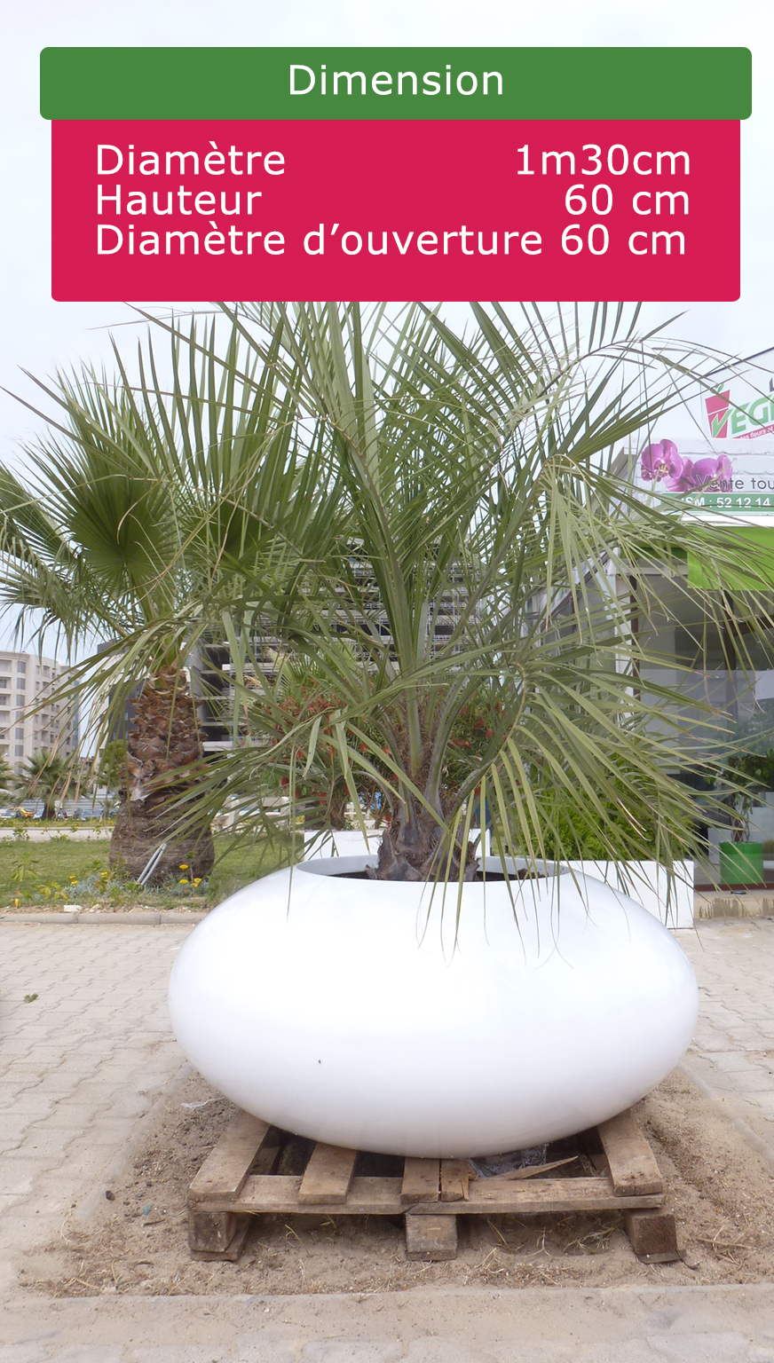 Fibre de verres